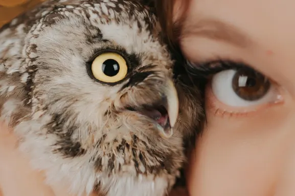 PlayHub Casino Supporto